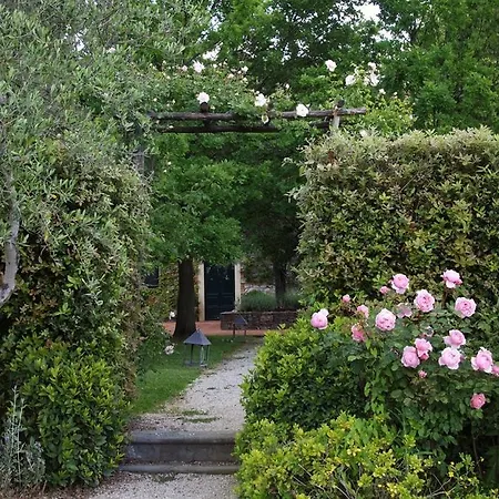 Villa Benedetta